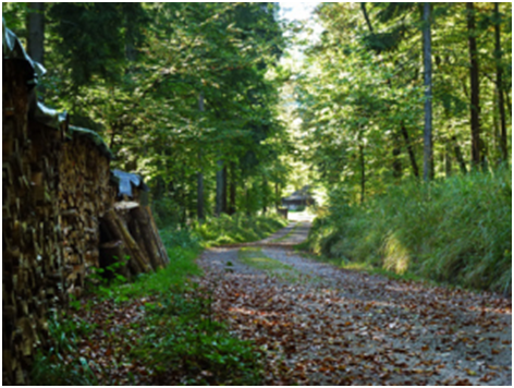 Siegerländer Hauberg als UNESCO Weltkulturerbe 